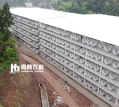 南商農科：四川樂至樓房養(yǎng)殖規(guī)模13500頭母豬場