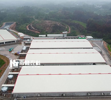 南商農科：廣西田東規(guī)模9000頭母豬場