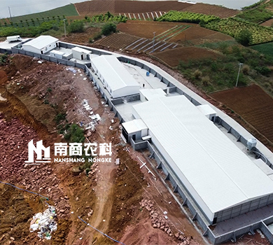 南商農(nóng)科：四川金堂高樓年出欄10萬(wàn)頭母豬場(chǎng)