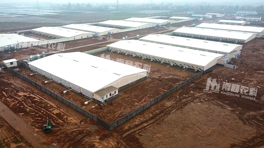 湖南常德4800頭自繁自養(yǎng)項(xiàng)目