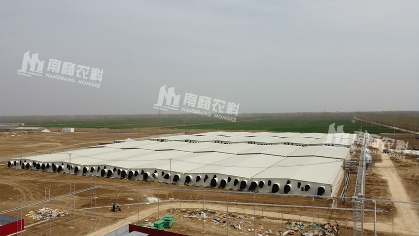 山東聊城4800頭母豬場(chǎng)