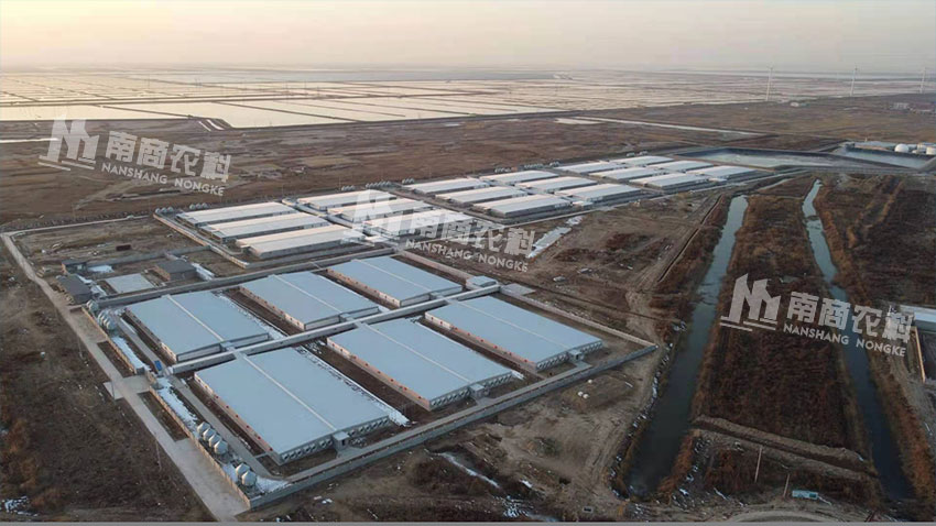 新希望濱州72000頭育肥場(chǎng)