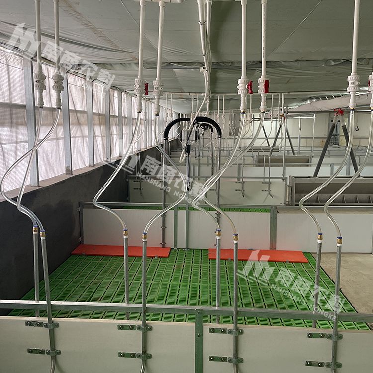 養(yǎng)豬場水線照明