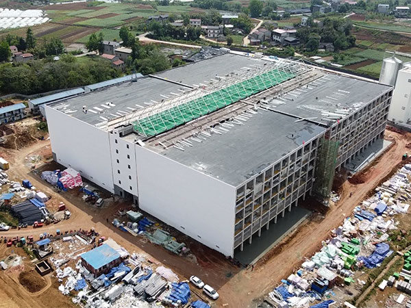 智能飼喂站如何應(yīng)用在樓房養(yǎng)豬場