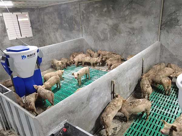 500頭母豬的養(yǎng)豬場(chǎng)全套設(shè)備那里賣(mài)的，多少錢(qián)一套？