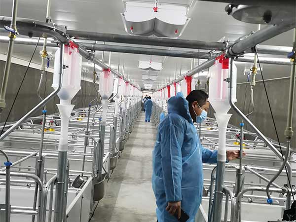 豬場(chǎng)自動(dòng)料線一套多少錢(qián)