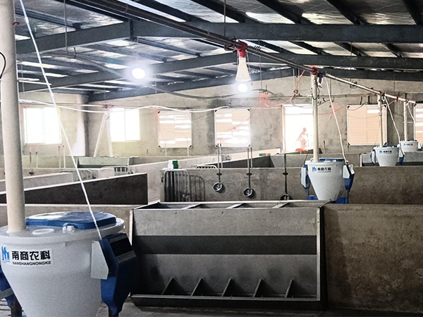 選購自動化養(yǎng)豬食槽，哪個品牌供應(yīng)商比較好？