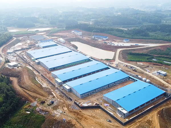 豬場(chǎng)建設(shè)的設(shè)計(jì)原則和要點(diǎn)