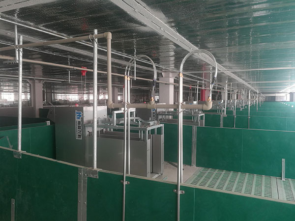 1000頭育肥豬全自動(dòng)化養(yǎng)豬場(chǎng)建設(shè)成本