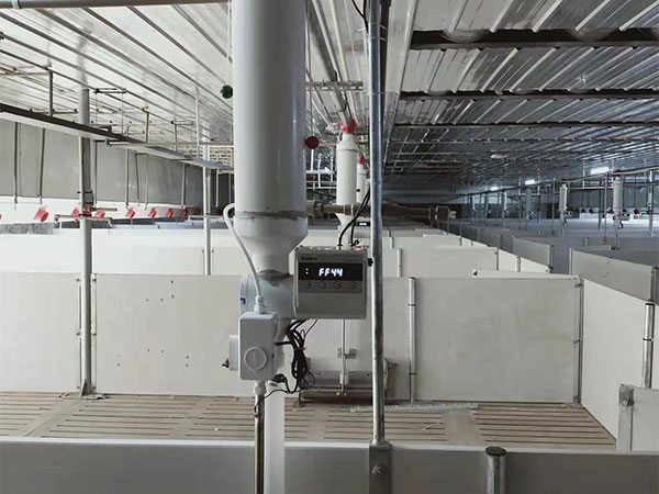 精準(zhǔn)飼喂降本增效設(shè)備是豬場(chǎng)的未來(lái)