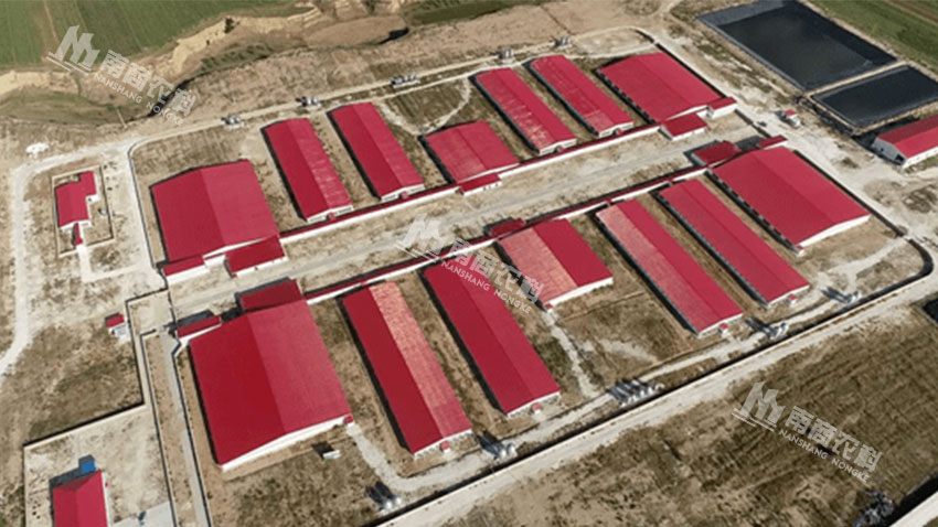 山西大同天鎮(zhèn)原種豬繁育項(xiàng)目