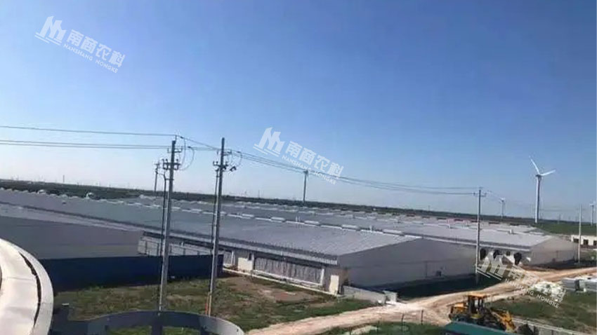 江蘇鹽城榮佑存欄7600頭能繁母豬場(chǎng)項(xiàng)目