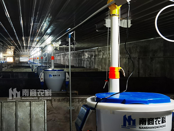 大型養(yǎng)豬場(chǎng)有哪些自動(dòng)飼喂系統(tǒng)？