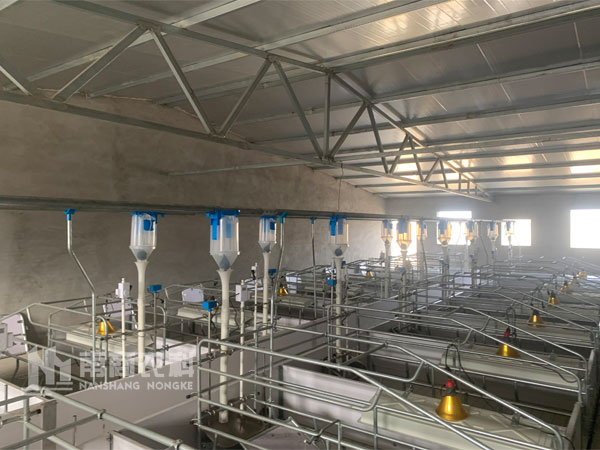 現(xiàn)代化養(yǎng)豬場(chǎng)如何控制成本？