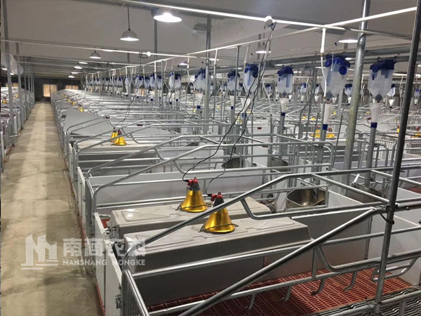 豬場建設(shè)之母豬舍如何規(guī)劃設(shè)計？