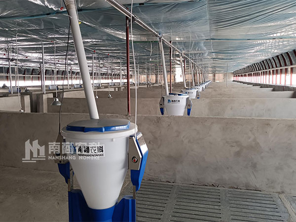 現(xiàn)代化豬舍建造設計需要注意事項