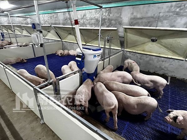 小智倌智能粥料器怎么減少飼料浪費(fèi)