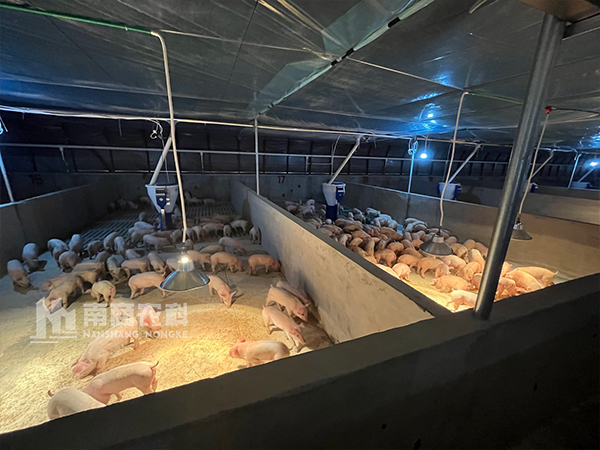 喜訊！又一批智能粥料器在湖北安家落戶！