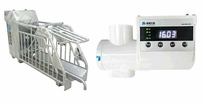 小智倌-妊娠、小智倌-哺乳