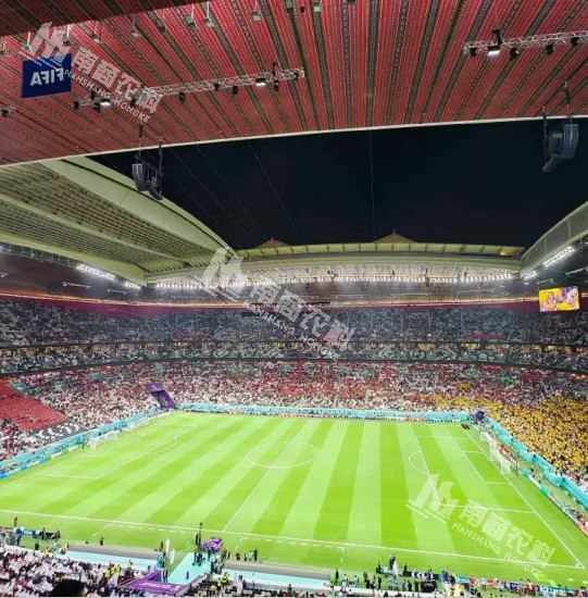 養(yǎng)豬人的“世界杯觀后感”會(huì)是怎樣？