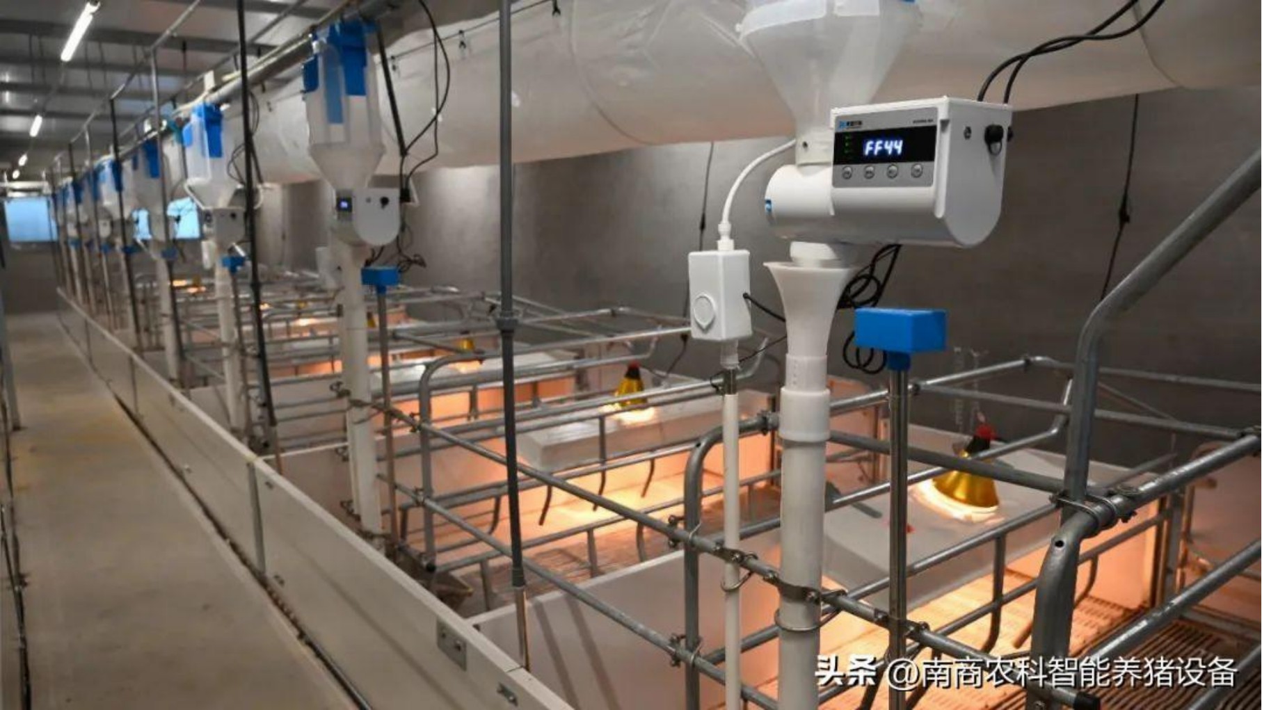 要想養(yǎng)豬效益高，母豬產(chǎn)床仔細挑！