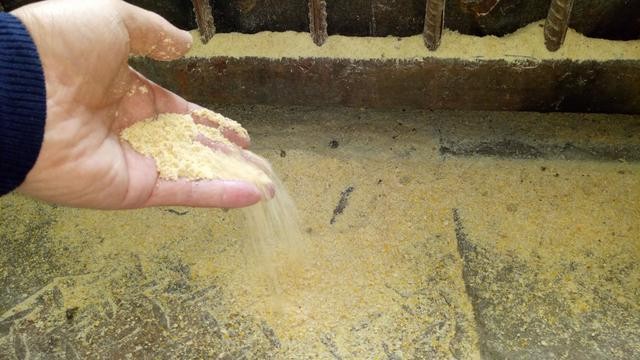 干料、粥料和水料形態(tài)的飼料對(duì)豬群的影響