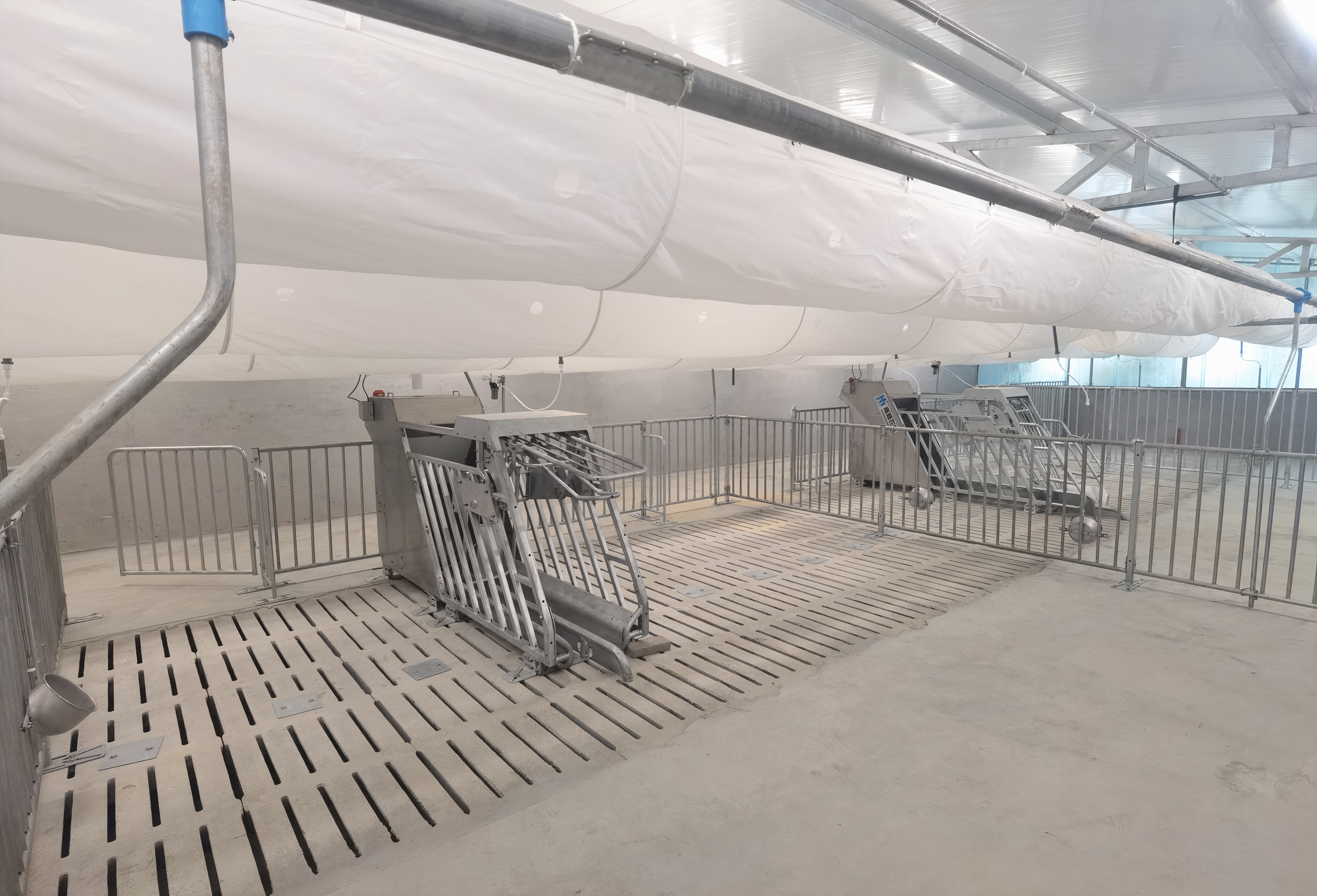 改變養(yǎng)殖方式：母豬小群飼養(yǎng)的優(yōu)勢