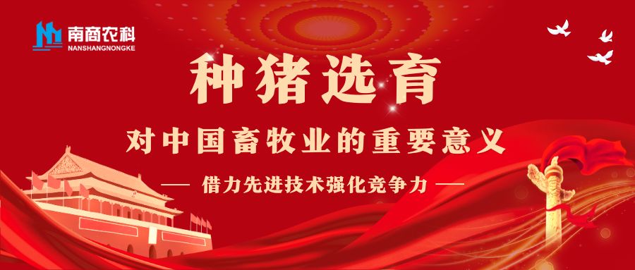 借力先進(jìn)技術(shù)強(qiáng)化競(jìng)爭力：種豬選育對(duì)中國畜牧業(yè)的重要意義 ?