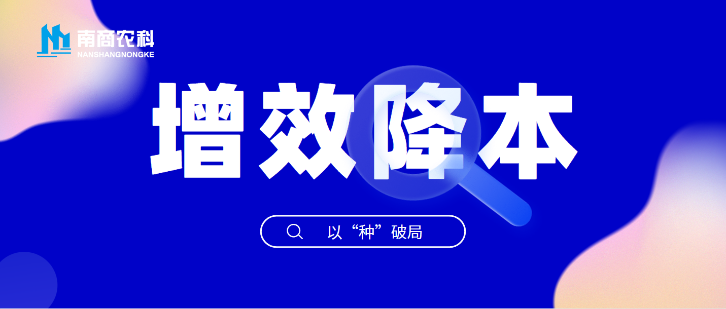 增效降本，以“種”破局