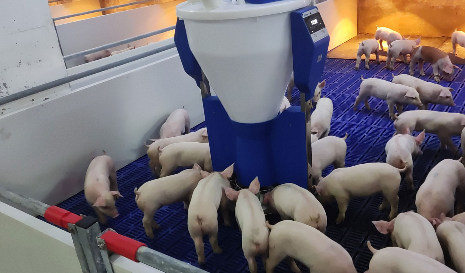 小智館-保育機(jī)，智能粥料器