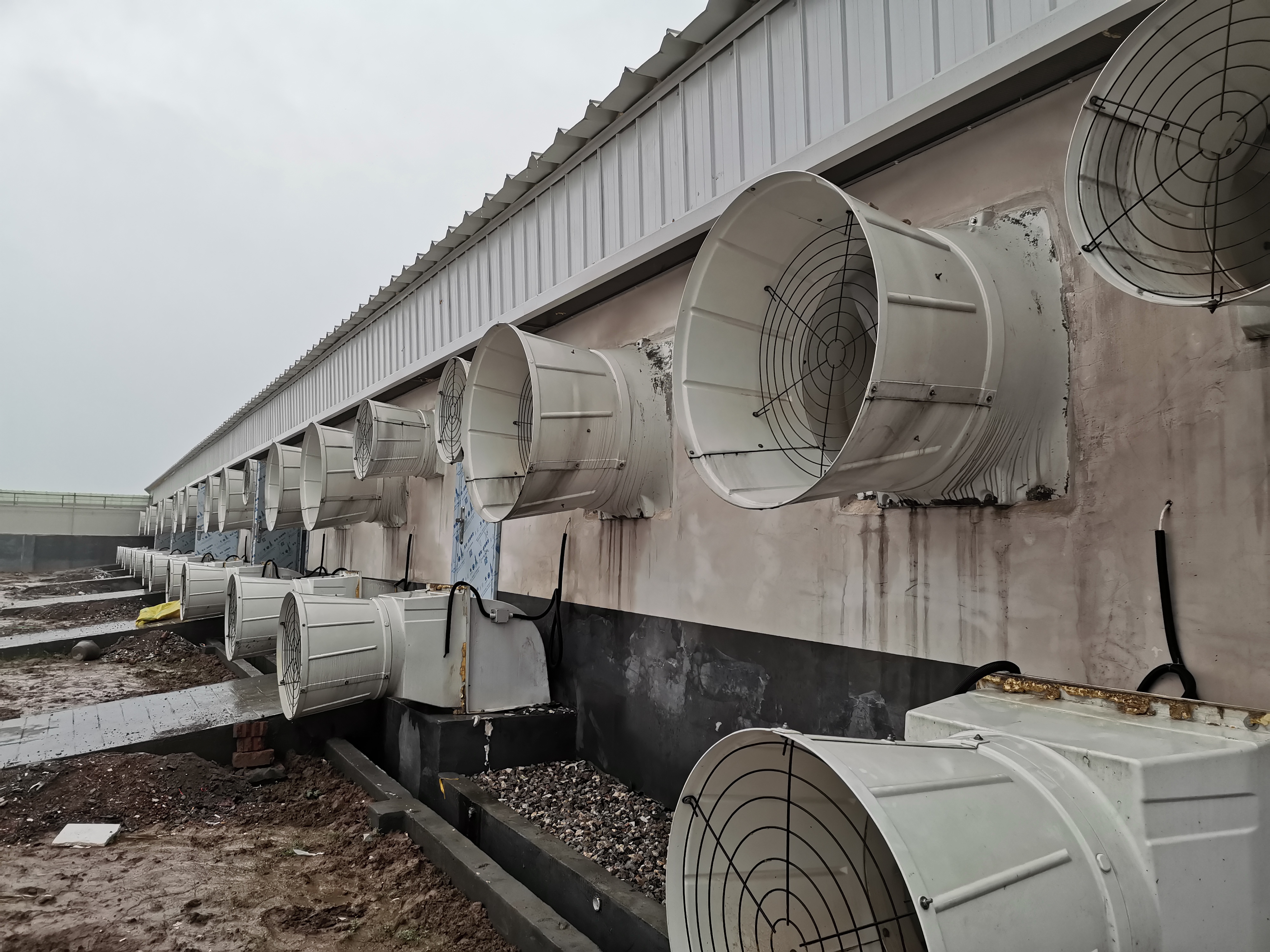 智能環(huán)控系統(tǒng)：遠(yuǎn)程監(jiān)測，隨時掌握豬場動態(tài)