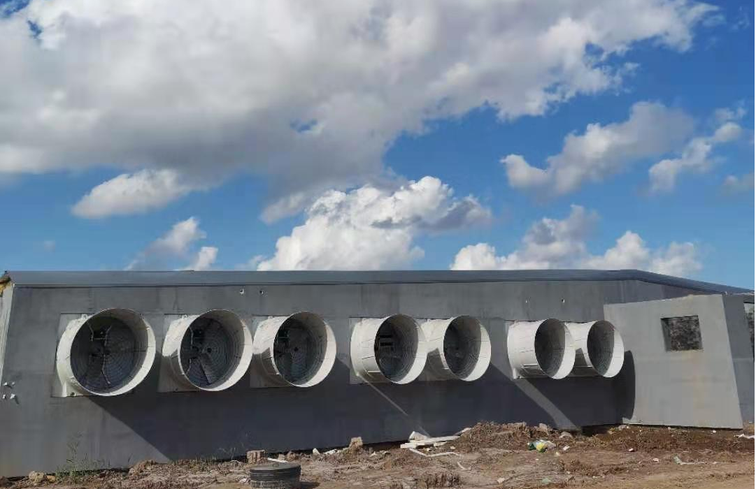 打造智能化養(yǎng)豬場，精準(zhǔn)通風(fēng)，豬舍智能環(huán)控系統(tǒng)助您實(shí)現(xiàn)養(yǎng)豬新突破！