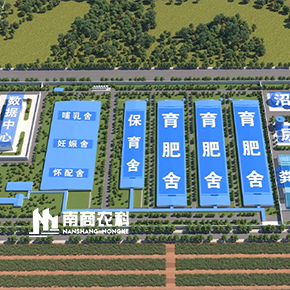 智慧豬場(chǎng)解決方案